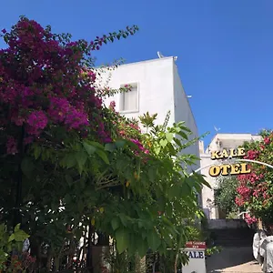 Kale Bodrum